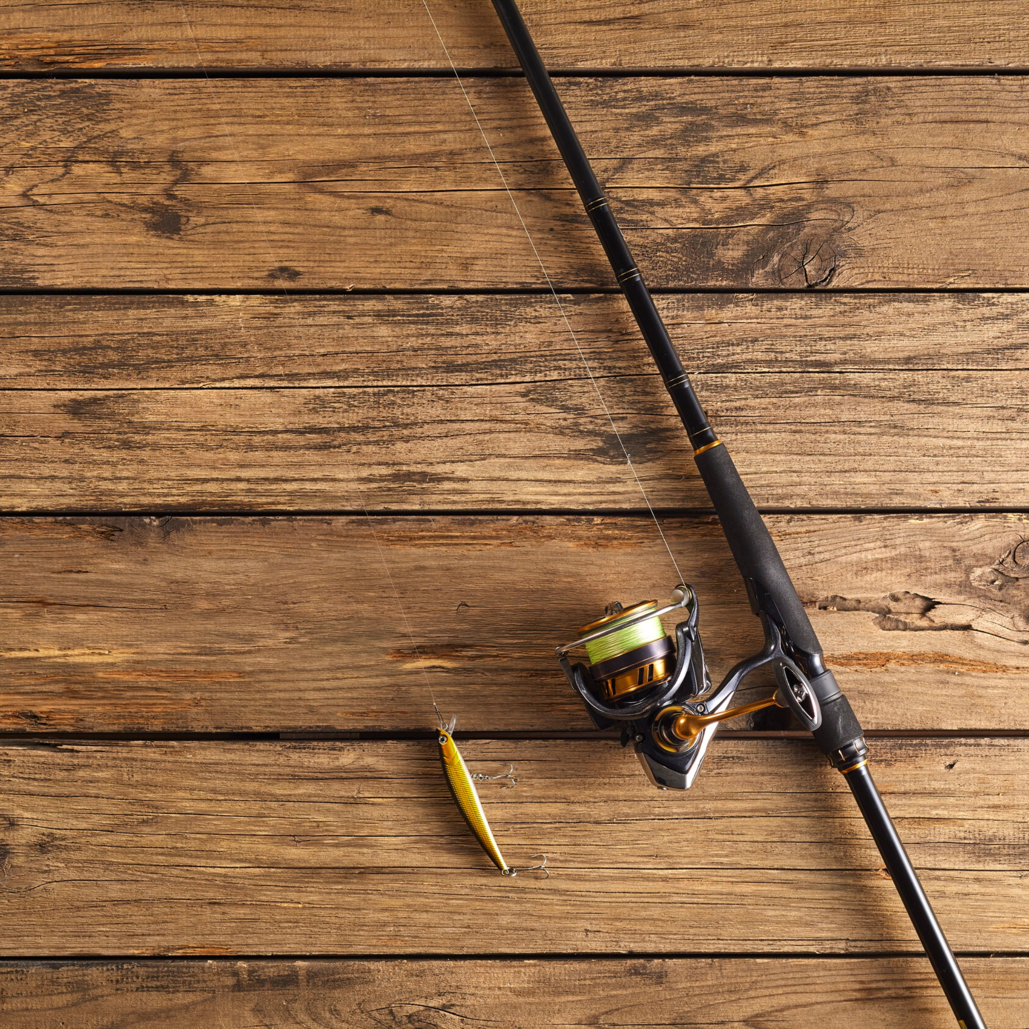 Fishing Rods