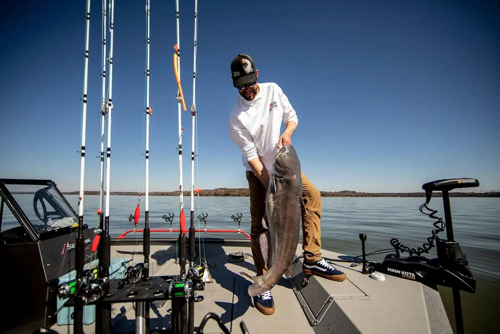 Carbon Catfish Casting Rod – 8ft Medium Heavy