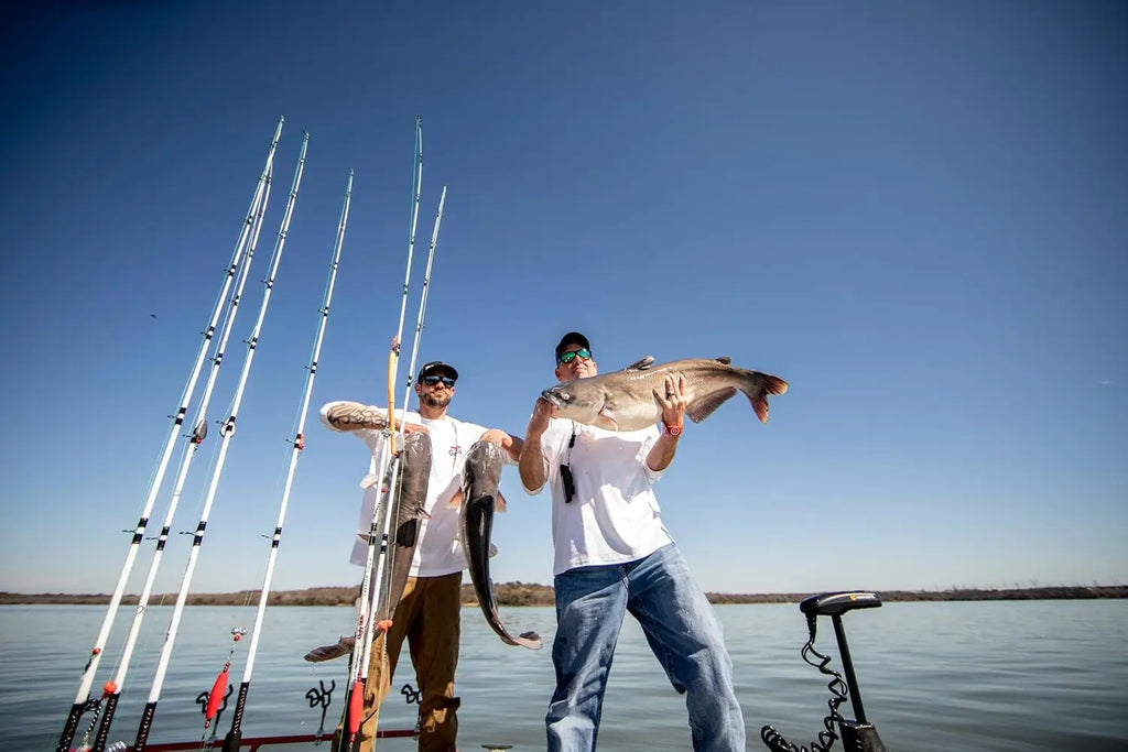 Carbon Catfish Casting Rod – 8ft Medium Heavy